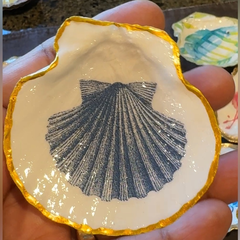 Fridge Magnet: Handmade by Kanchan’s Kreations 

Sea Shell Decorative Shell